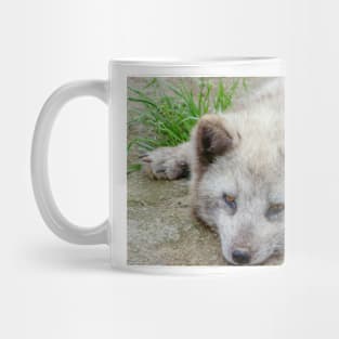 cli white Mug